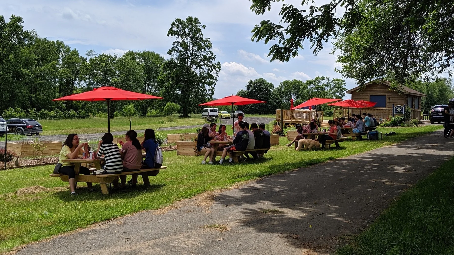2019 Spring Picnic