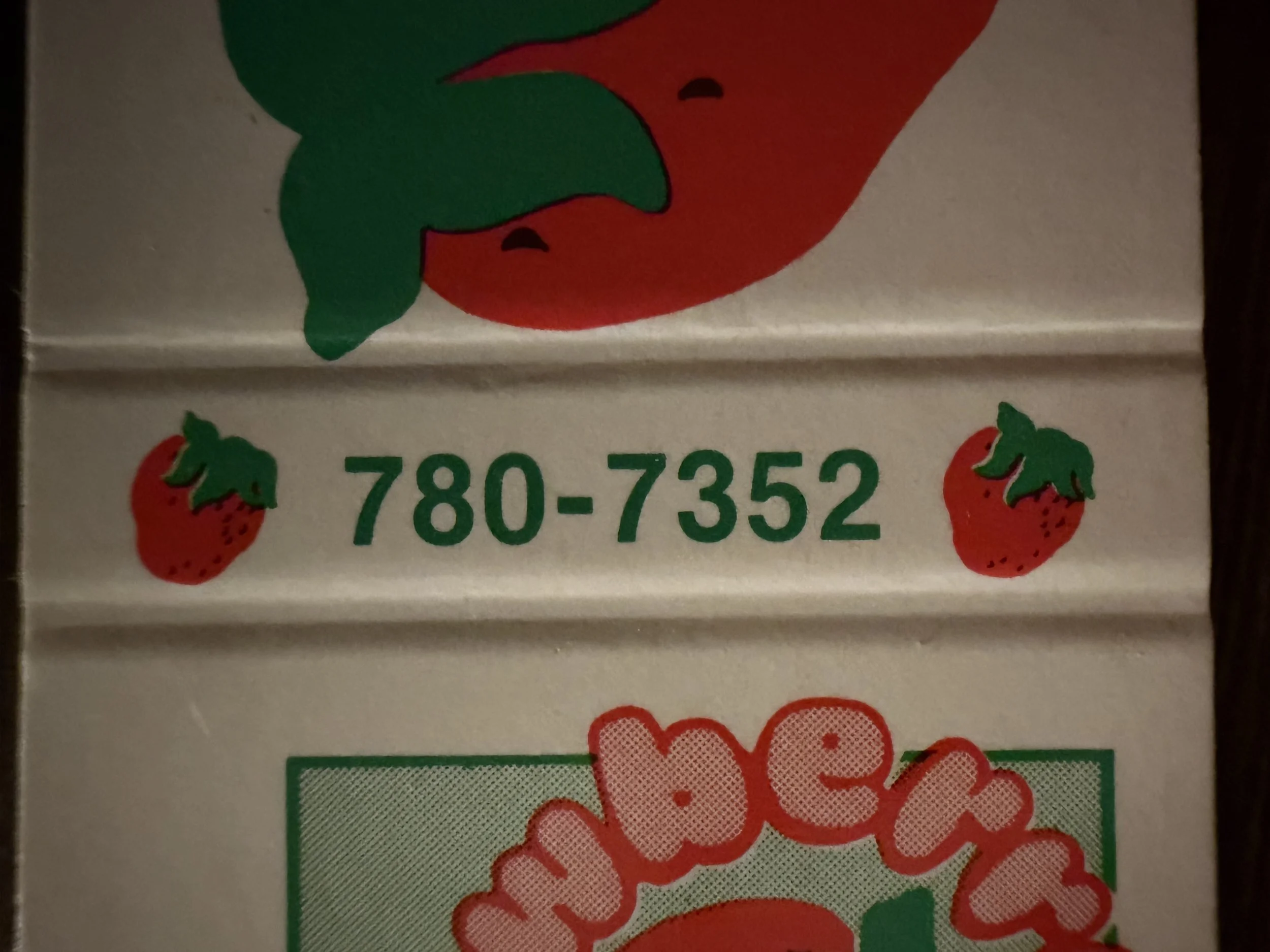 Strawberry Patch Houston 10.jpeg
