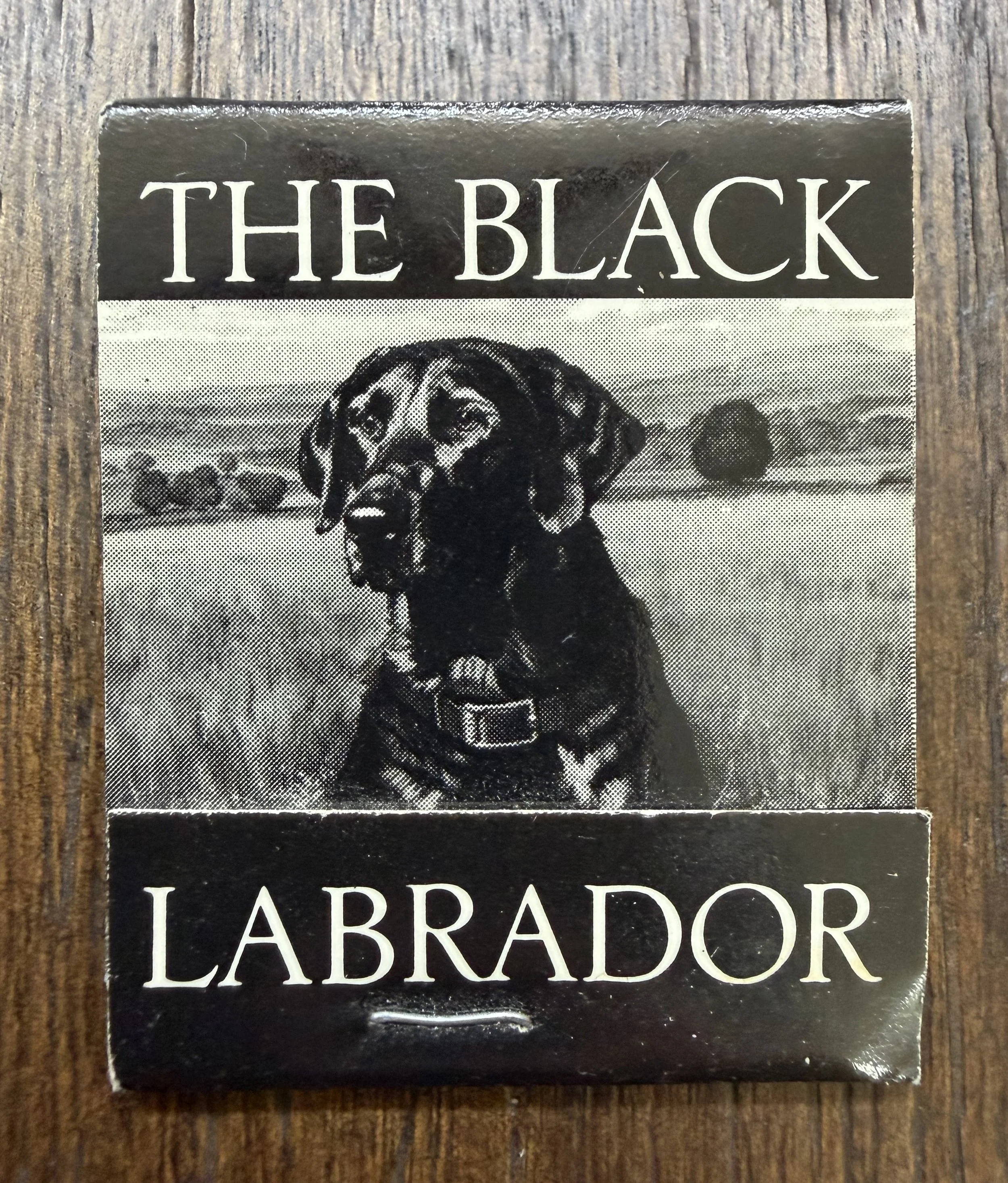 Black Lab Houston.jpeg