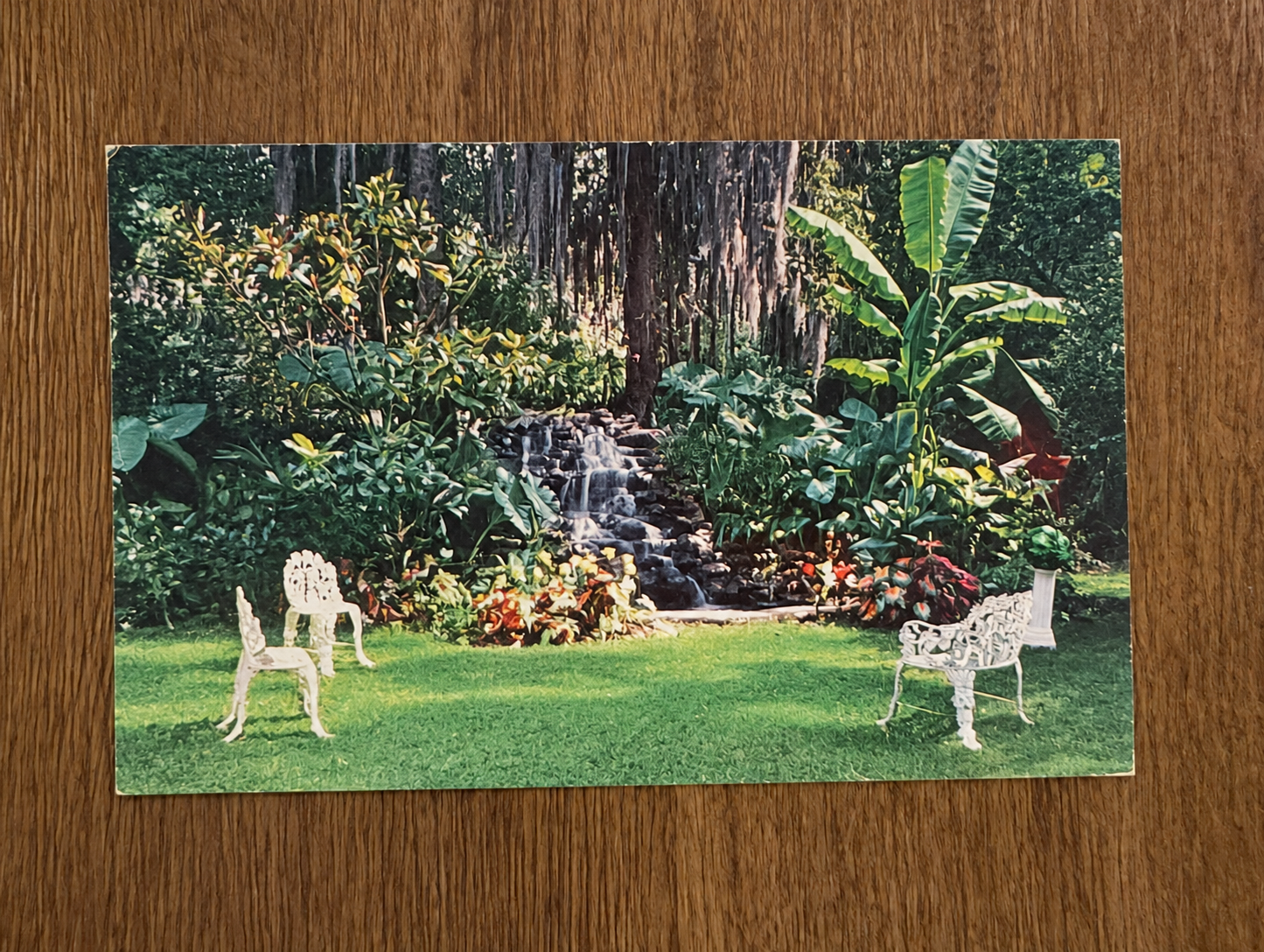 Vintage Tropical Garden Waterfall Postcard 1.png
