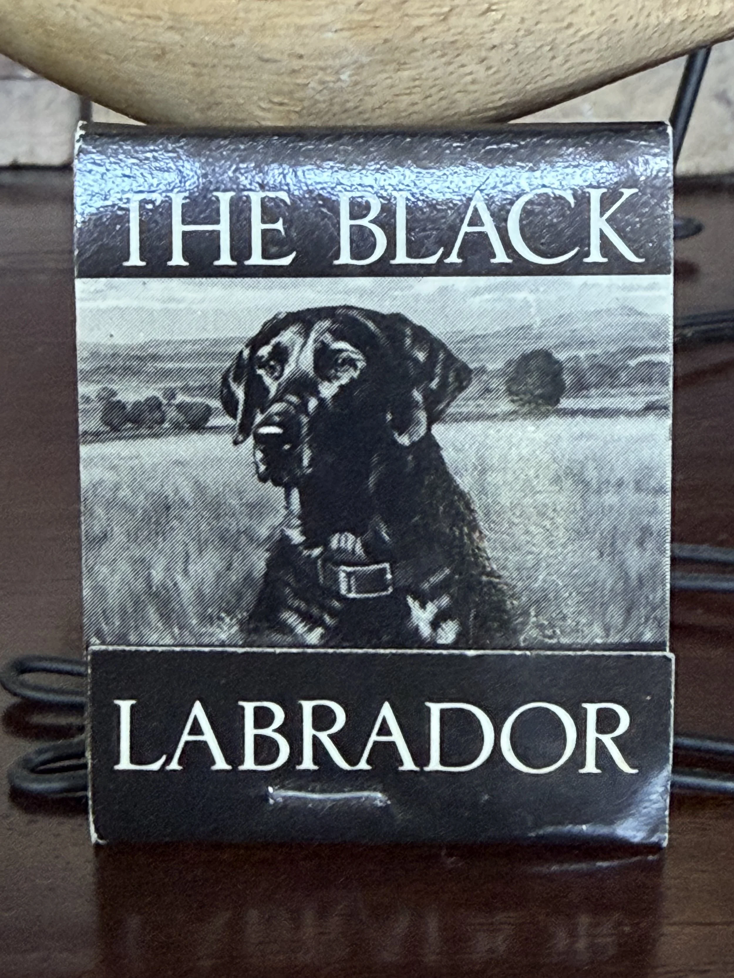 Black Lab Houston 4.jpeg
