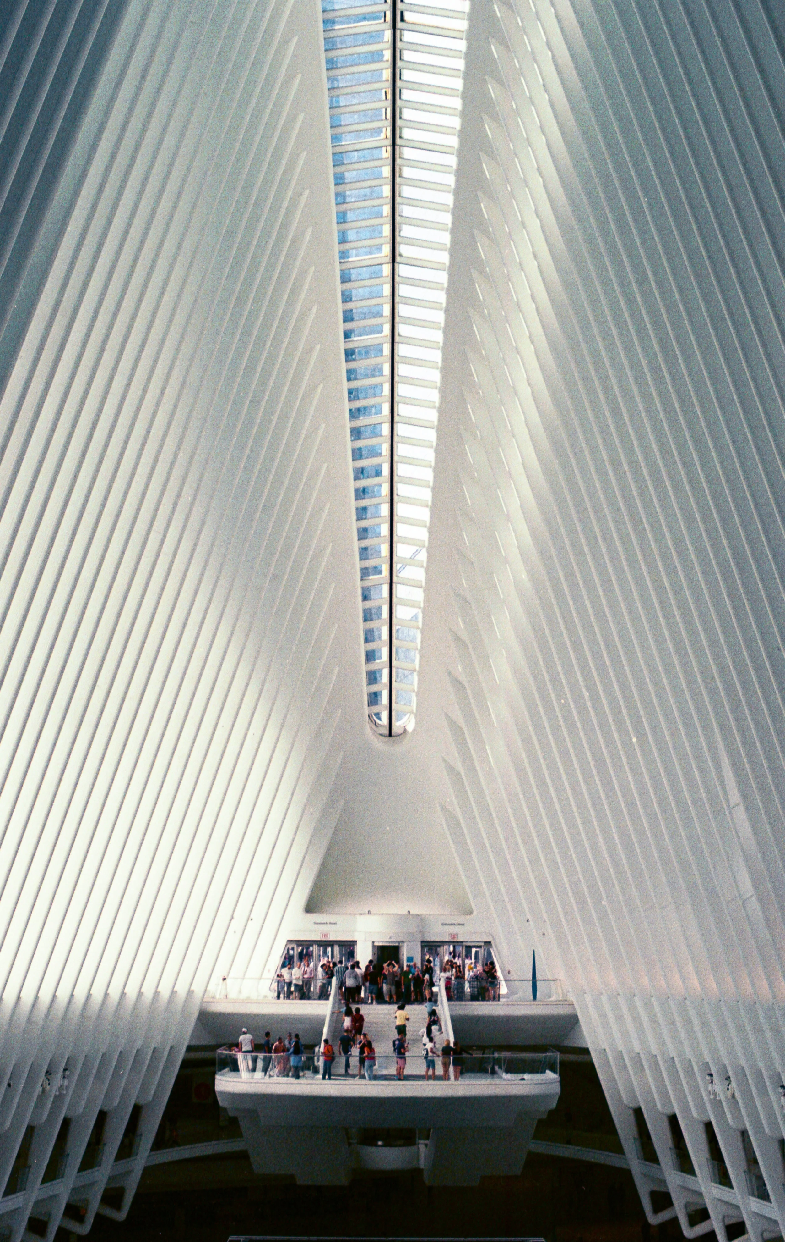 2533055-55.jpg
