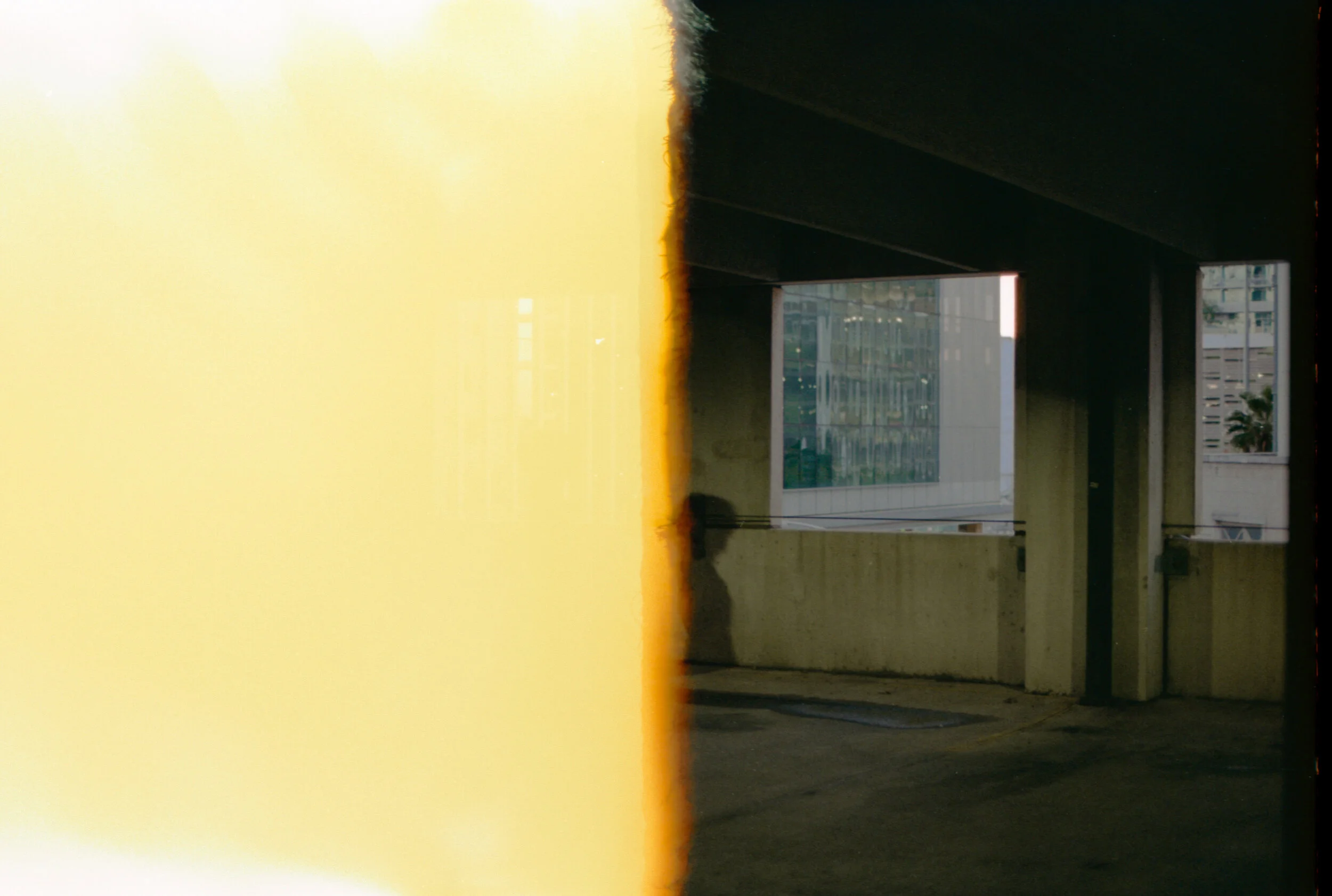 2247060-26.jpg