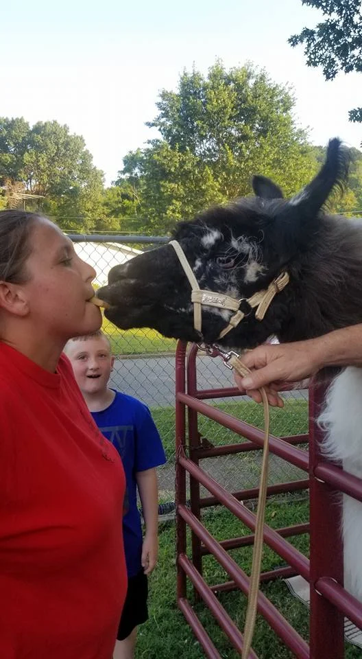 vbs2018_5.jpg