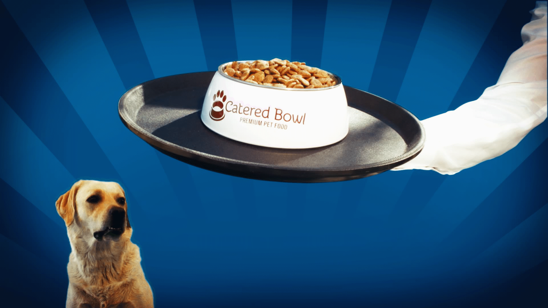 catered_bowl_video_starburst_gif6.gif