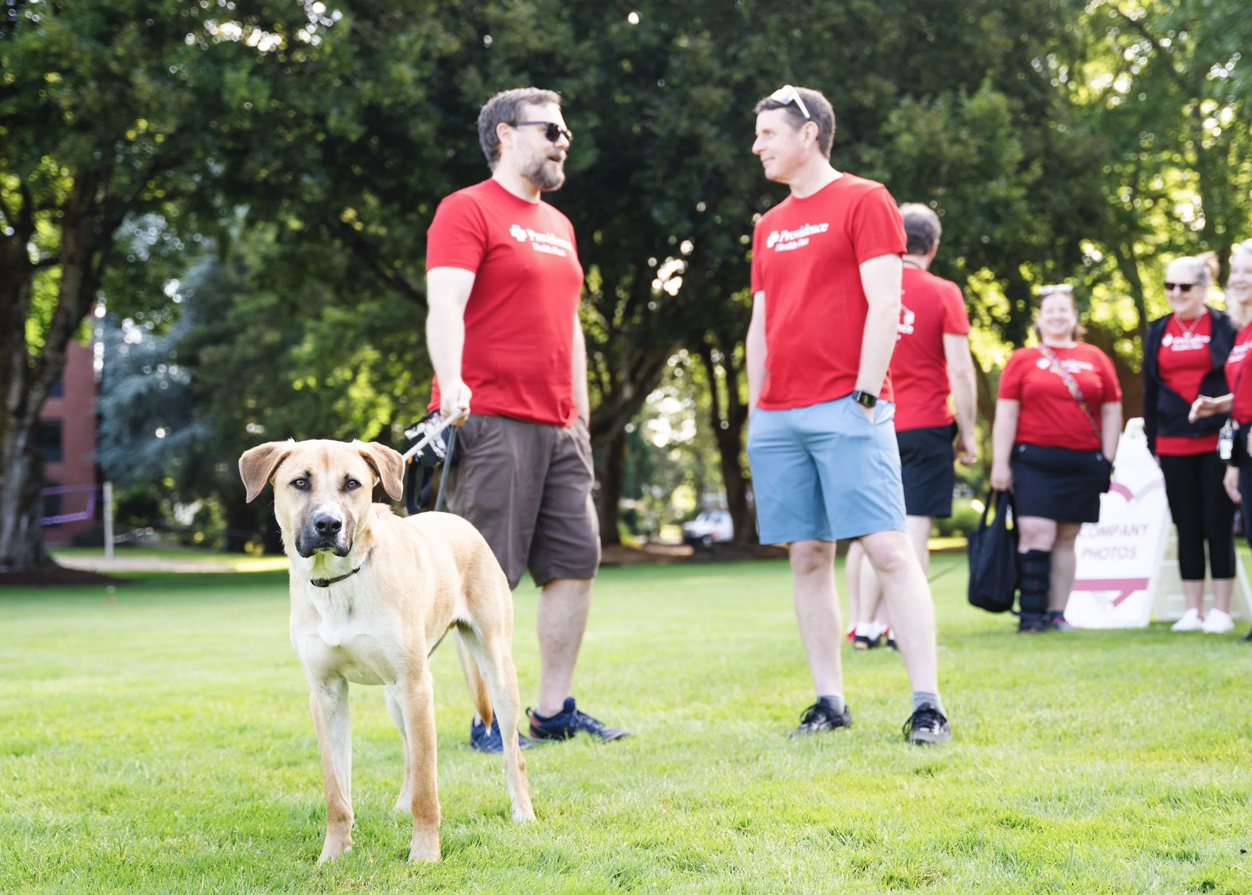 AHA-Heart-Walk-Event-Photo-5.jpg