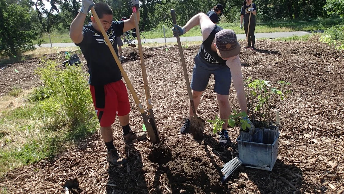 Putah Creek Cleanup.jpg
