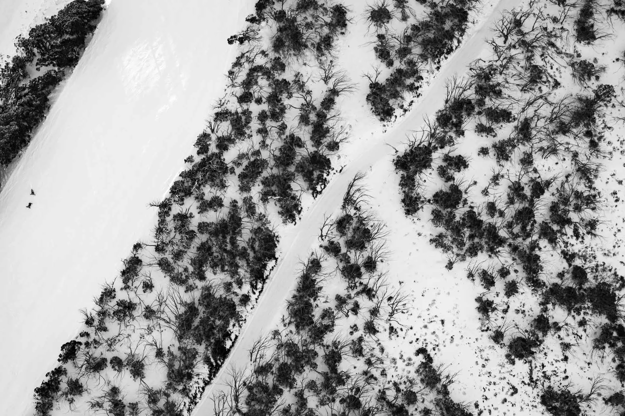 bw buller (3 of 12).jpg