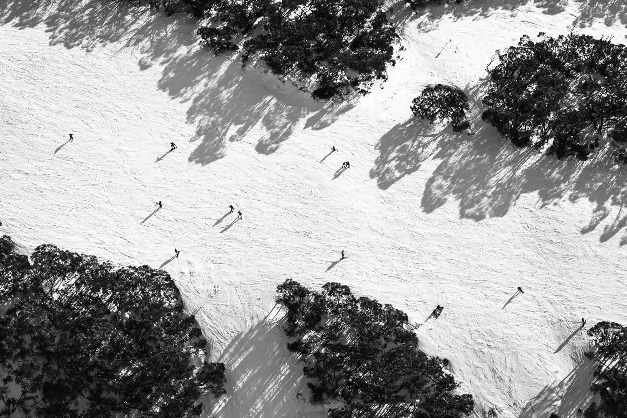 bw buller (2 of 12).jpg