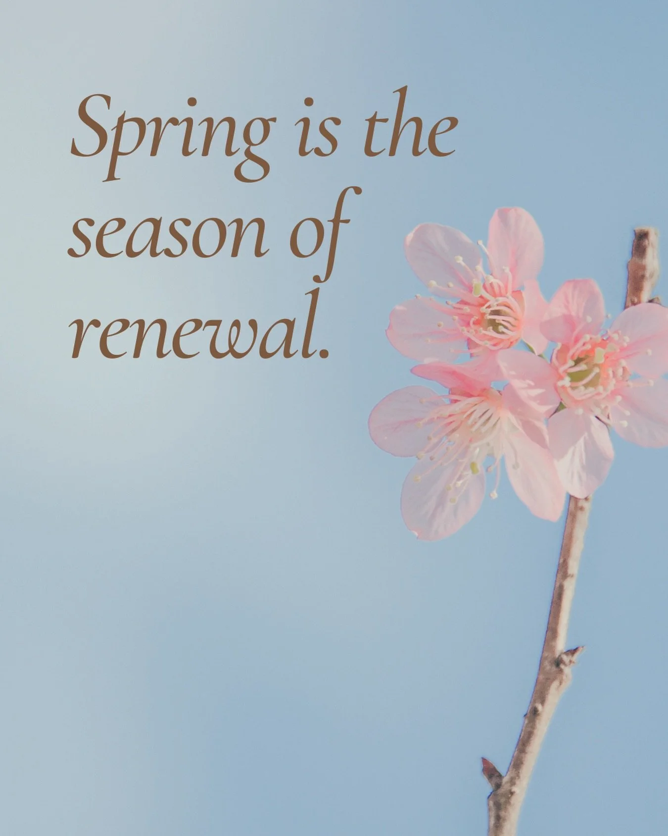 Spring is the season of renewal&hellip; and there&rsquo;s no better time to refresh your look.

Whether you&rsquo;ve been thinking about a subtle tweak or a more transformative change, starting now means you&rsquo;ll be feeling confident and refreshe