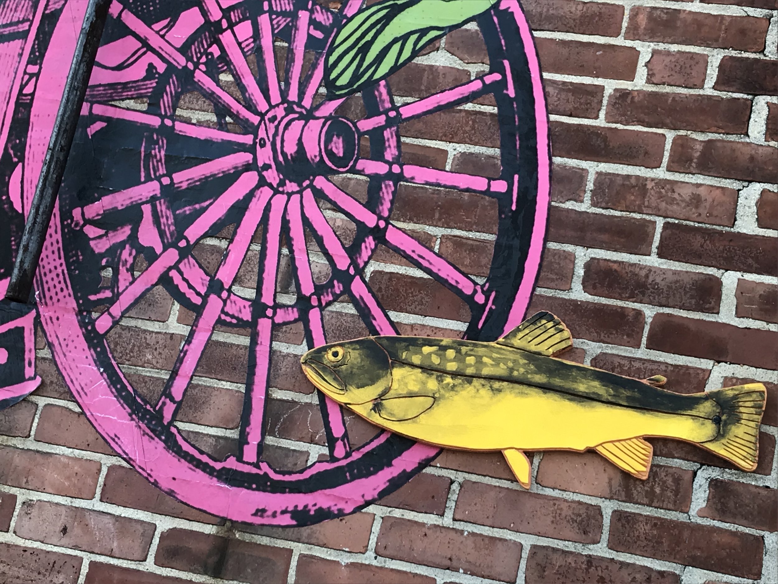 Baby Trout.jpeg