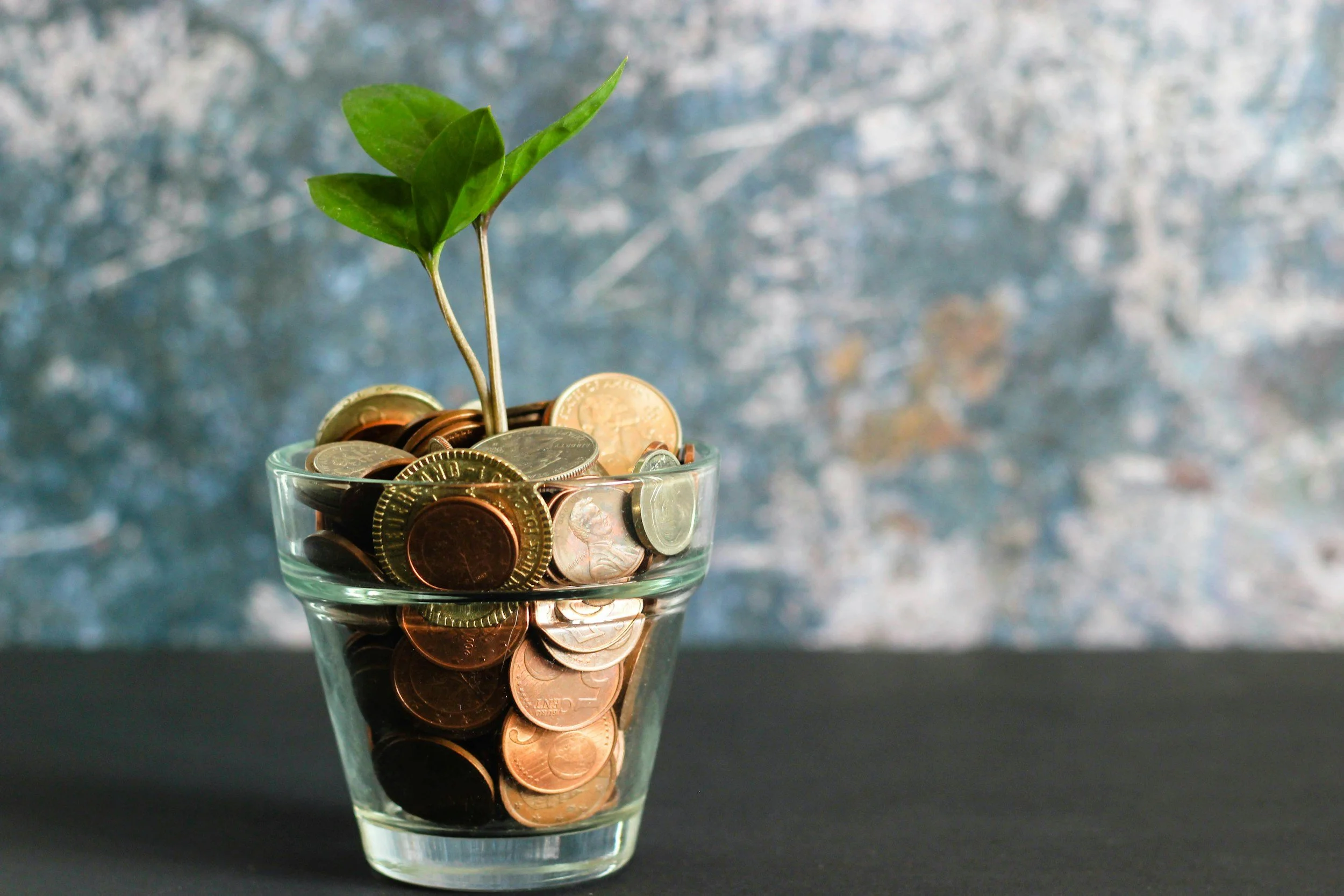 How Much Does it Cost to Hire a Fractional Chief Marketing Officer?