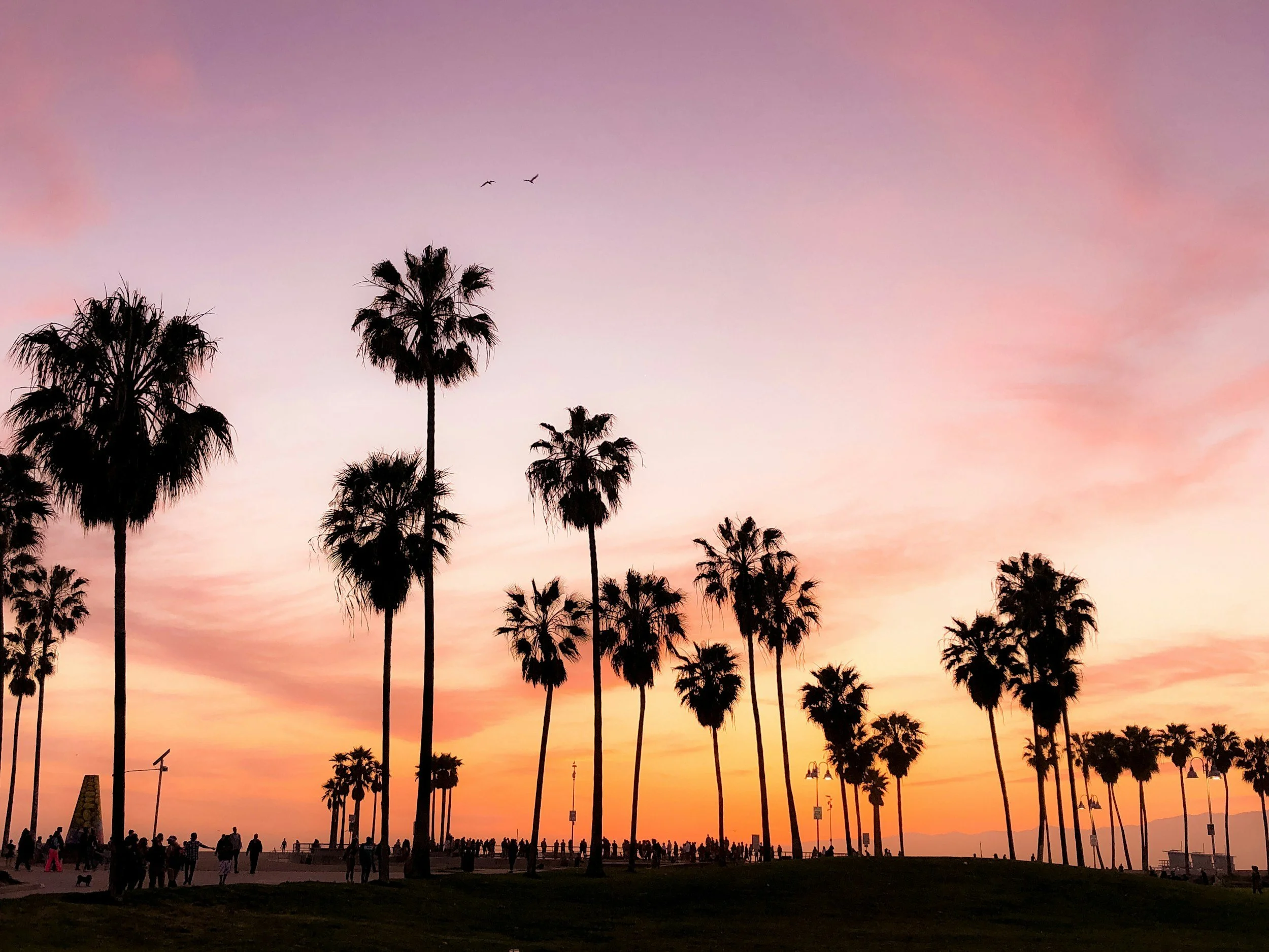 The Future of Los Angeles: City of Dreams, City of Reckoning
