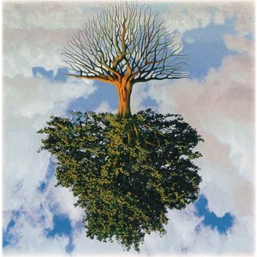 Hypothesis tree