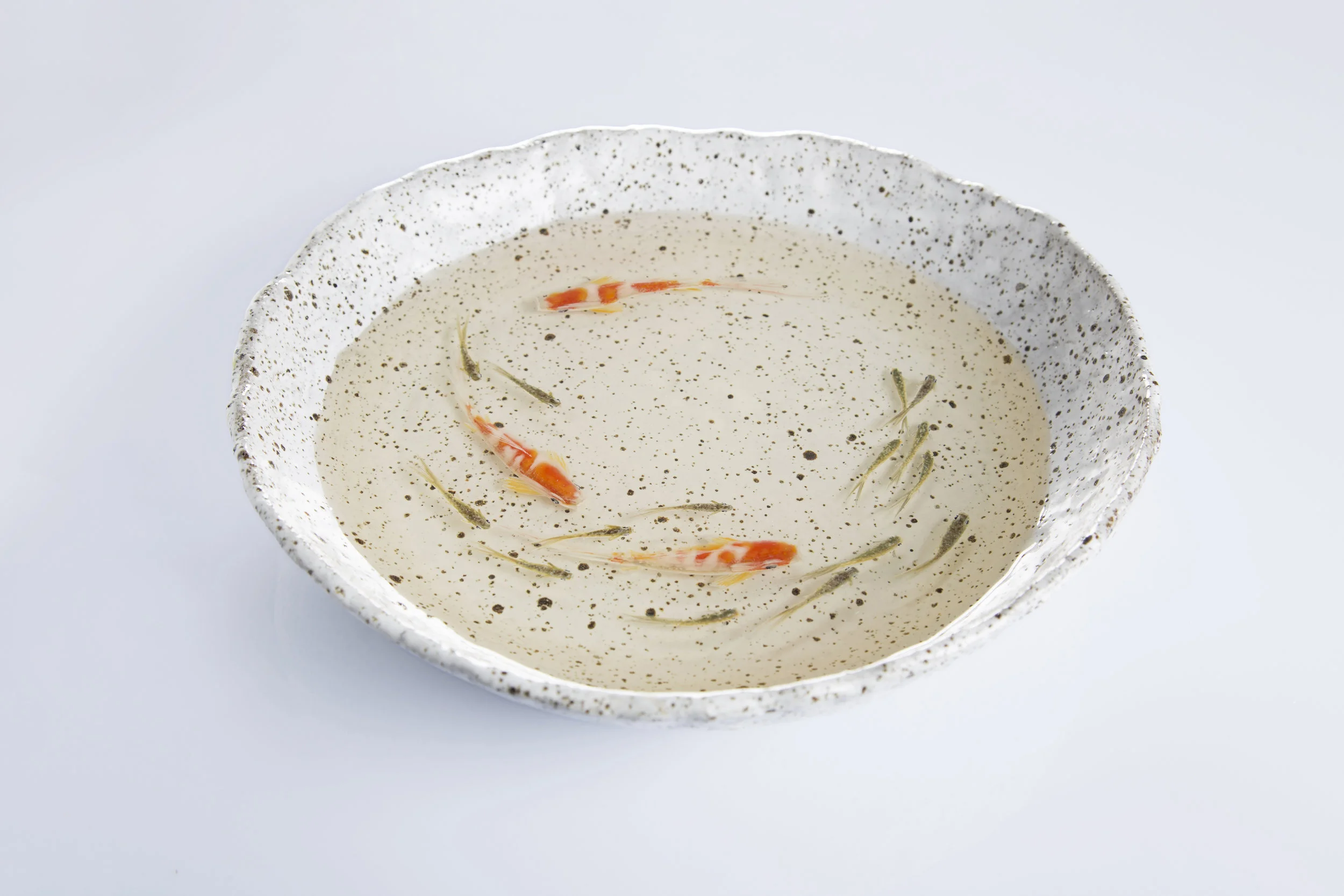 Joanne Villani - HR -06.jpg