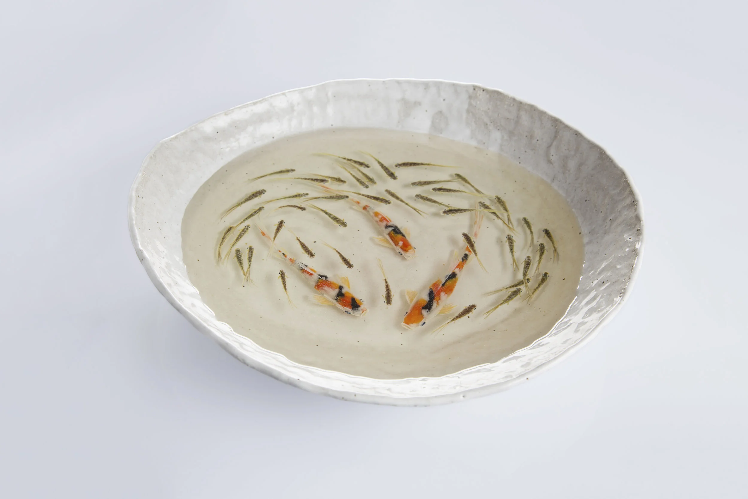 Joanne Villani - HR -07.jpg