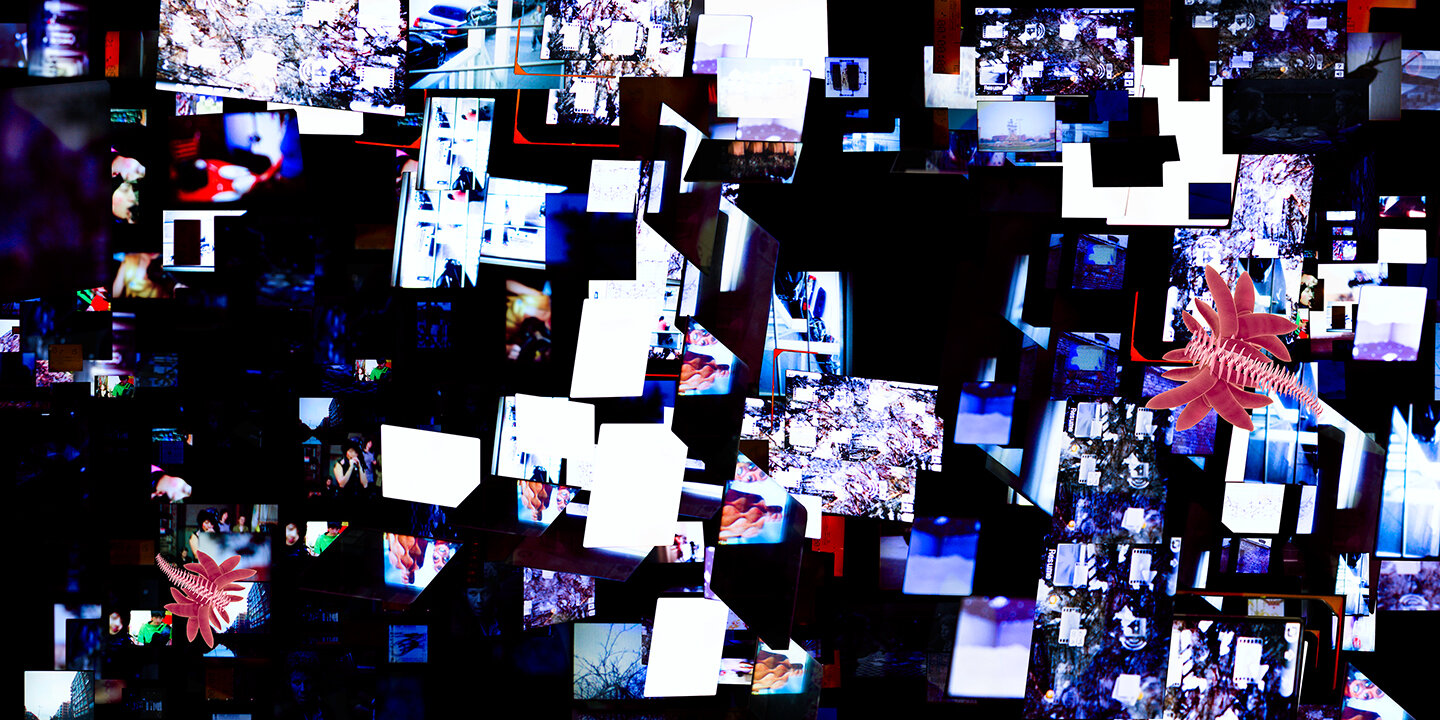 lcd_garden_site.jpg