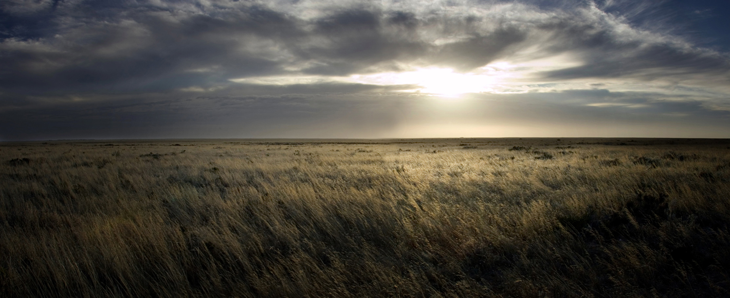 NULLABOR PLAIN / SOUTH AUSTRALIA