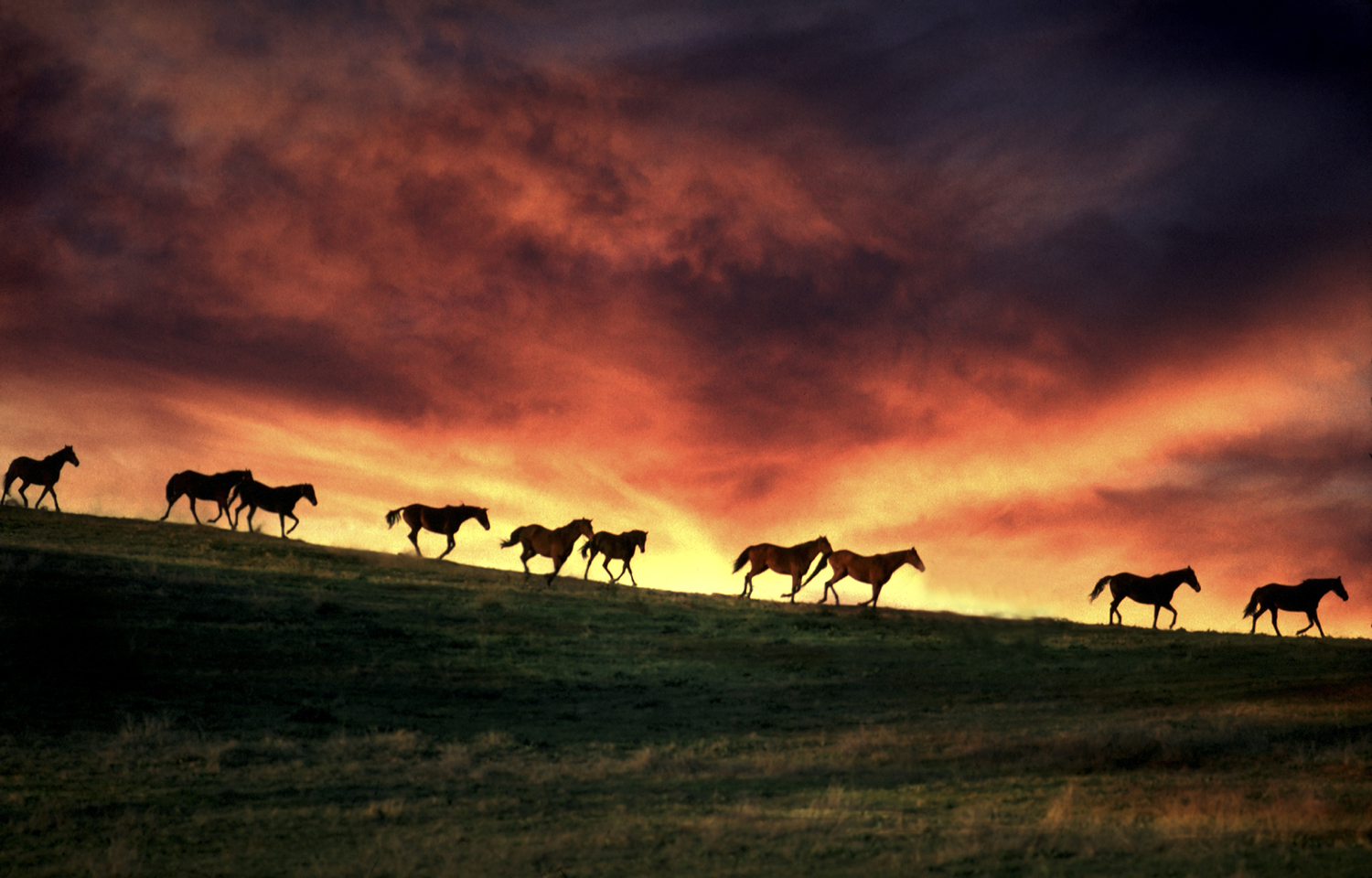 STREZLECKI RANGES / VICTORIA