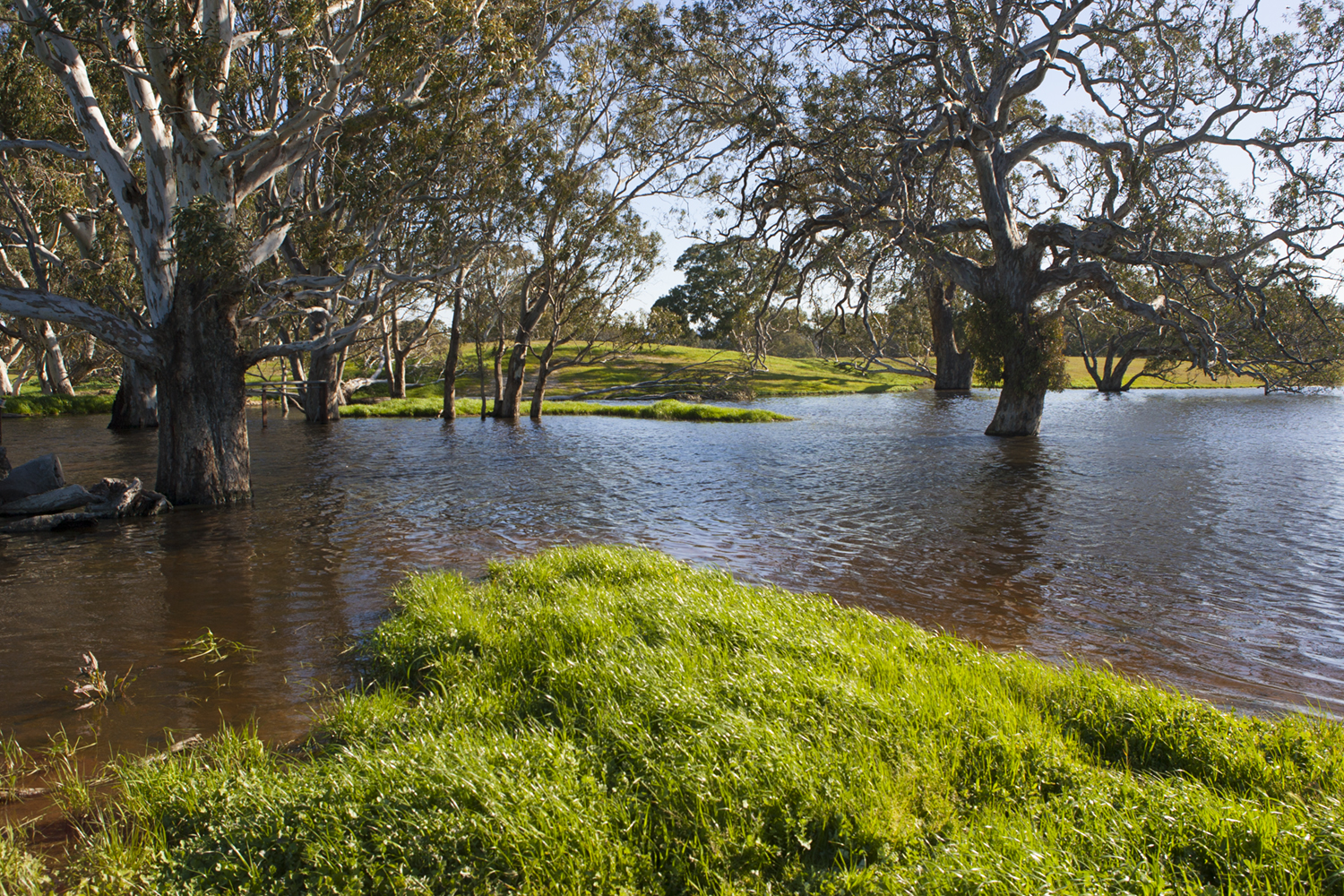 BILLABONG / WESTERN DISTRICT, VICTORIA 