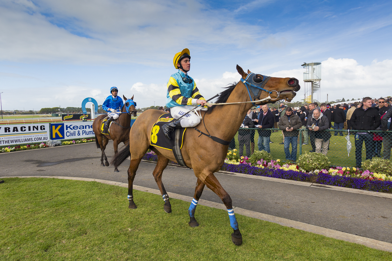 WARRNAMBOOL RACING