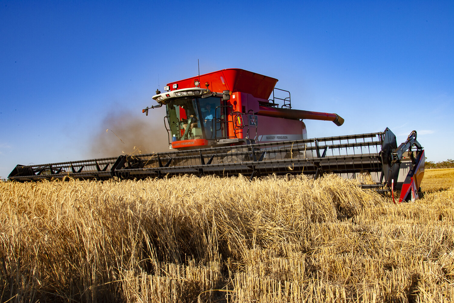 GDJ / AGCO - MASSEY-FERGUSON