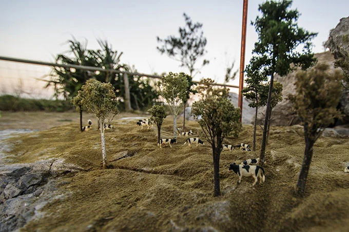 City Farming - Karl de Waal