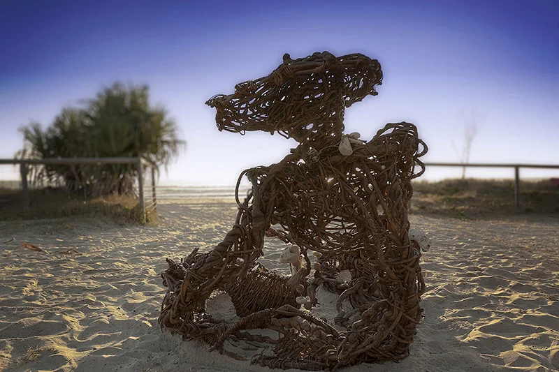 Rosie Harvest Beachcomber
