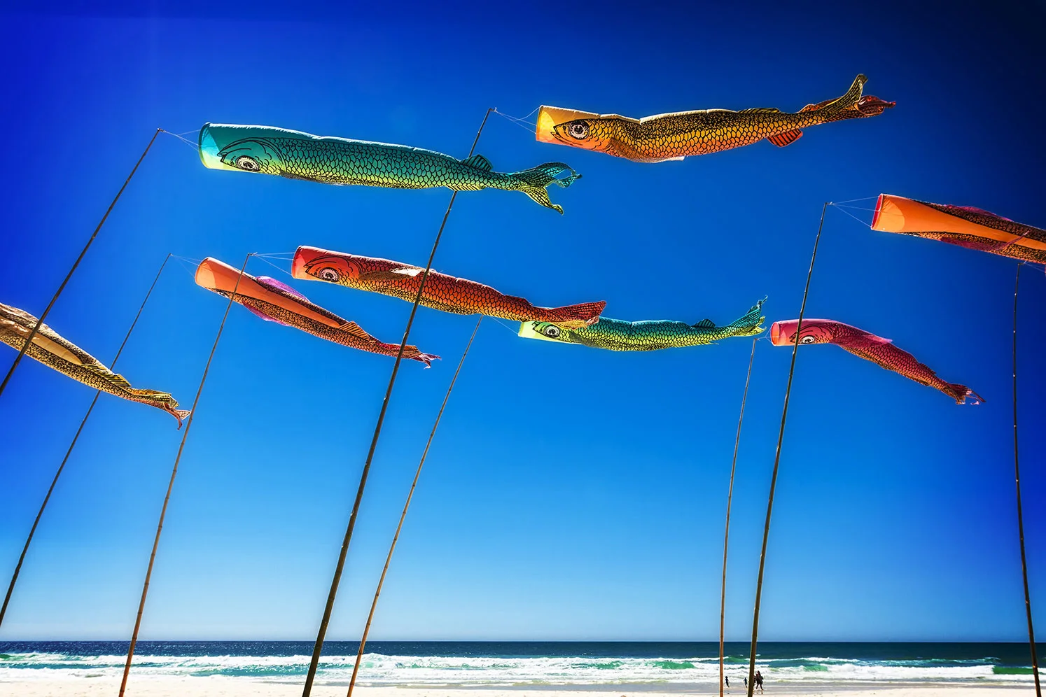 Anne Leon Fabulous Flying Fish