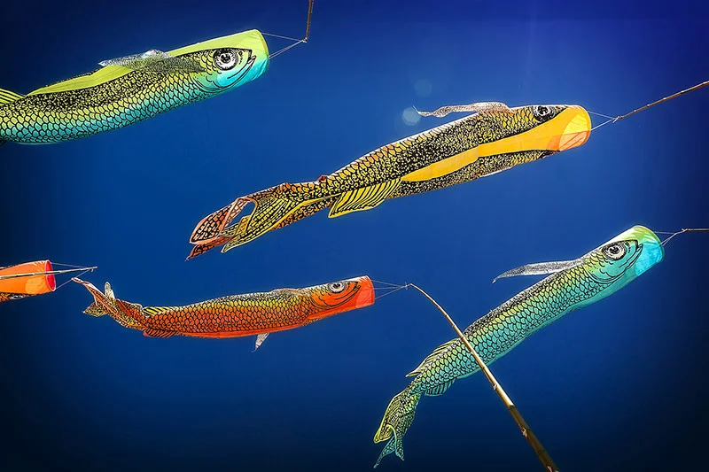 Anne Leon Fabulous Flying Fish