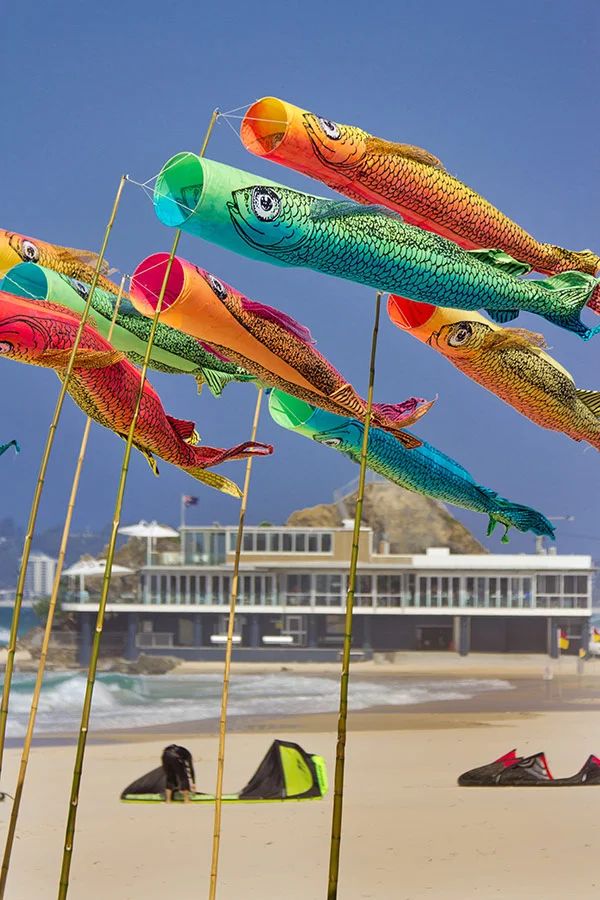 Anne Leon Fabulous Flying Fish