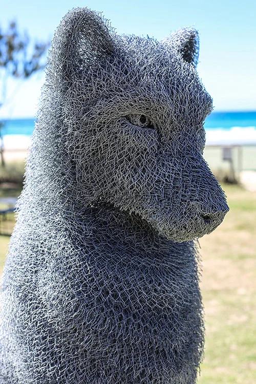 Ivan Lovatt Wolf 2014