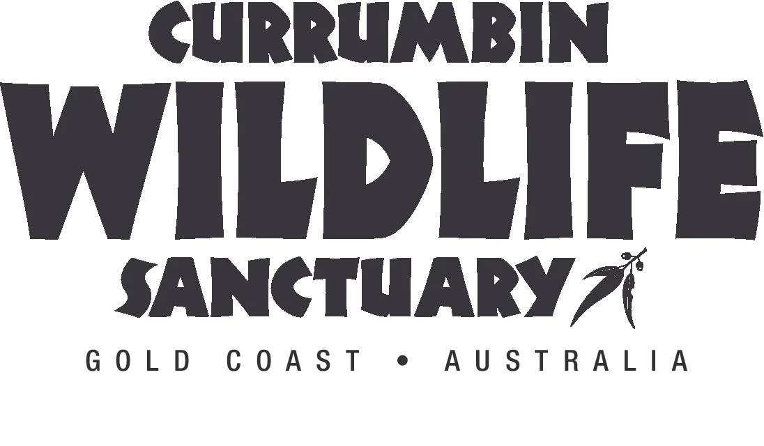 CWS_NT_Logo_Tagline_Charcoal-page-001.jpg