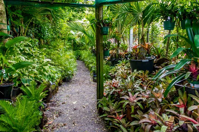 Image source: rogerhunter.co.nz