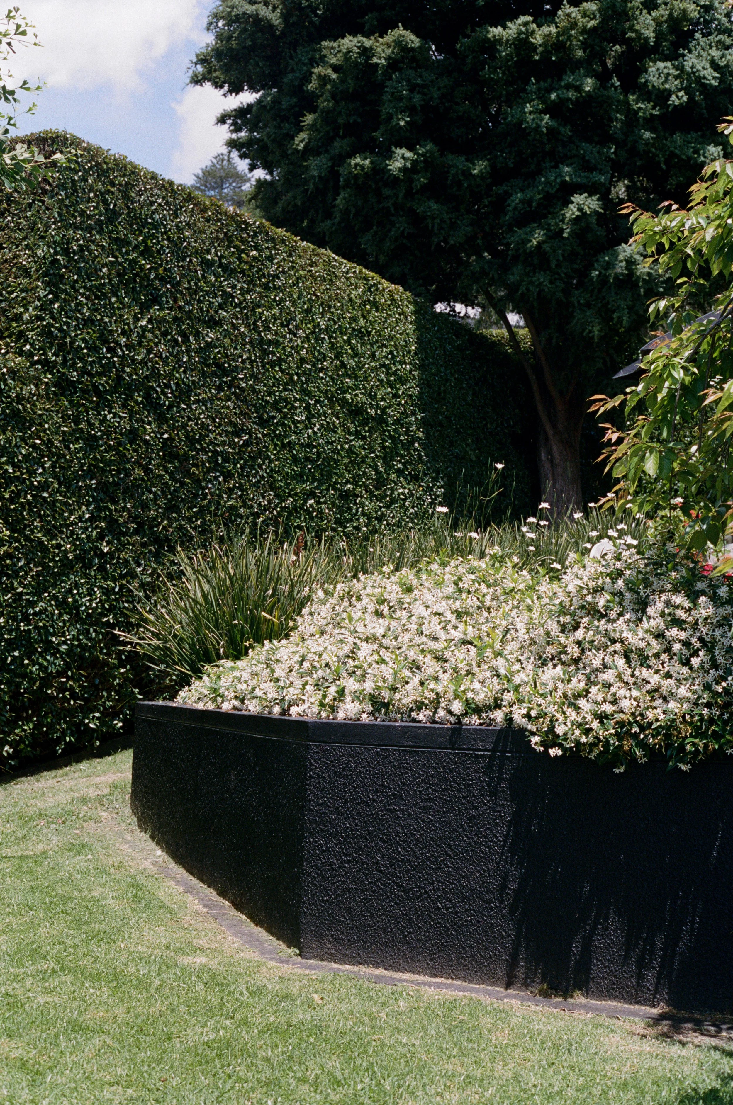 grass edited black wall-1.jpeg