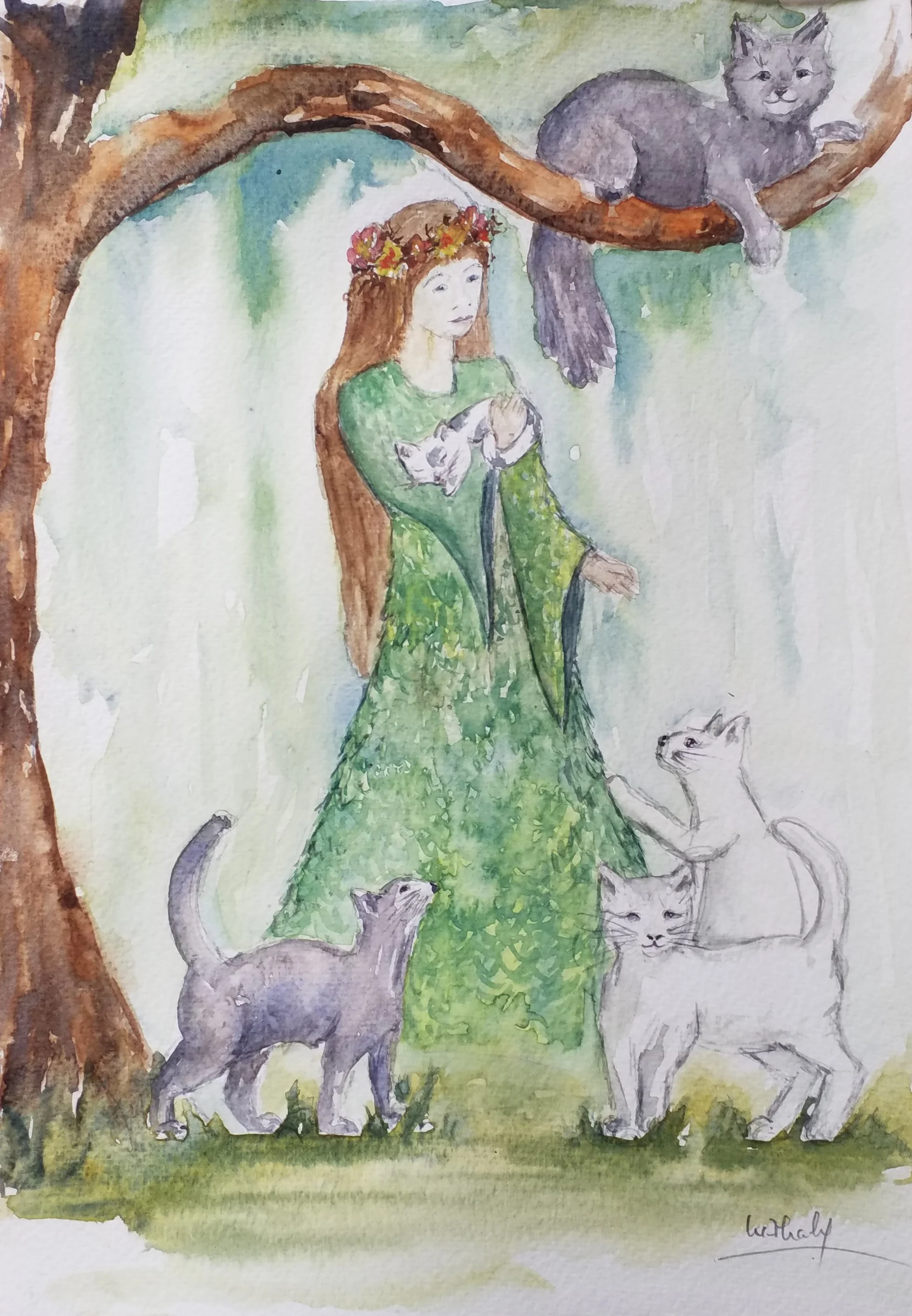 Story-telling & Illustration