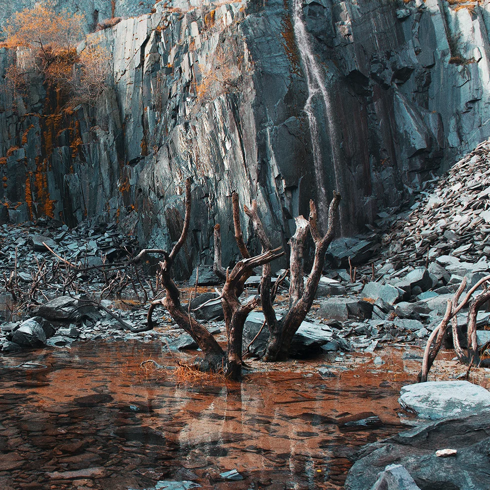 botley_harry_verdigris 2_sm.jpg