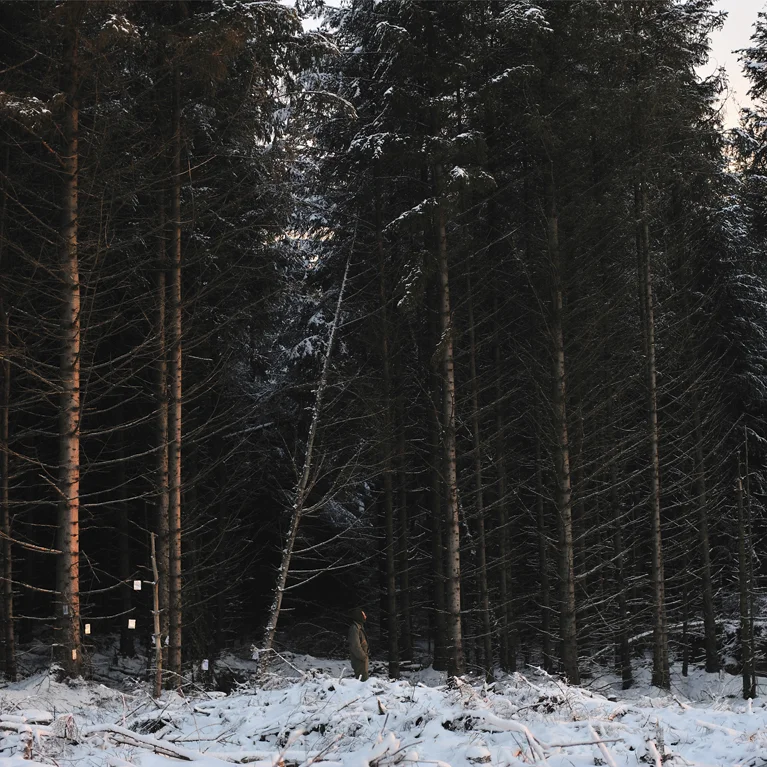 Monaghan_les_Moortrek_sm.jpg