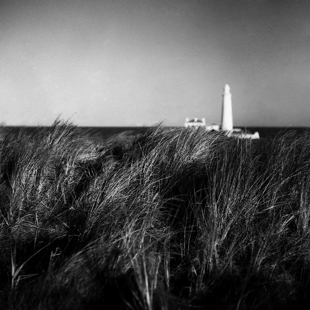 kippin_john_To_the_Lighthouse.jpg