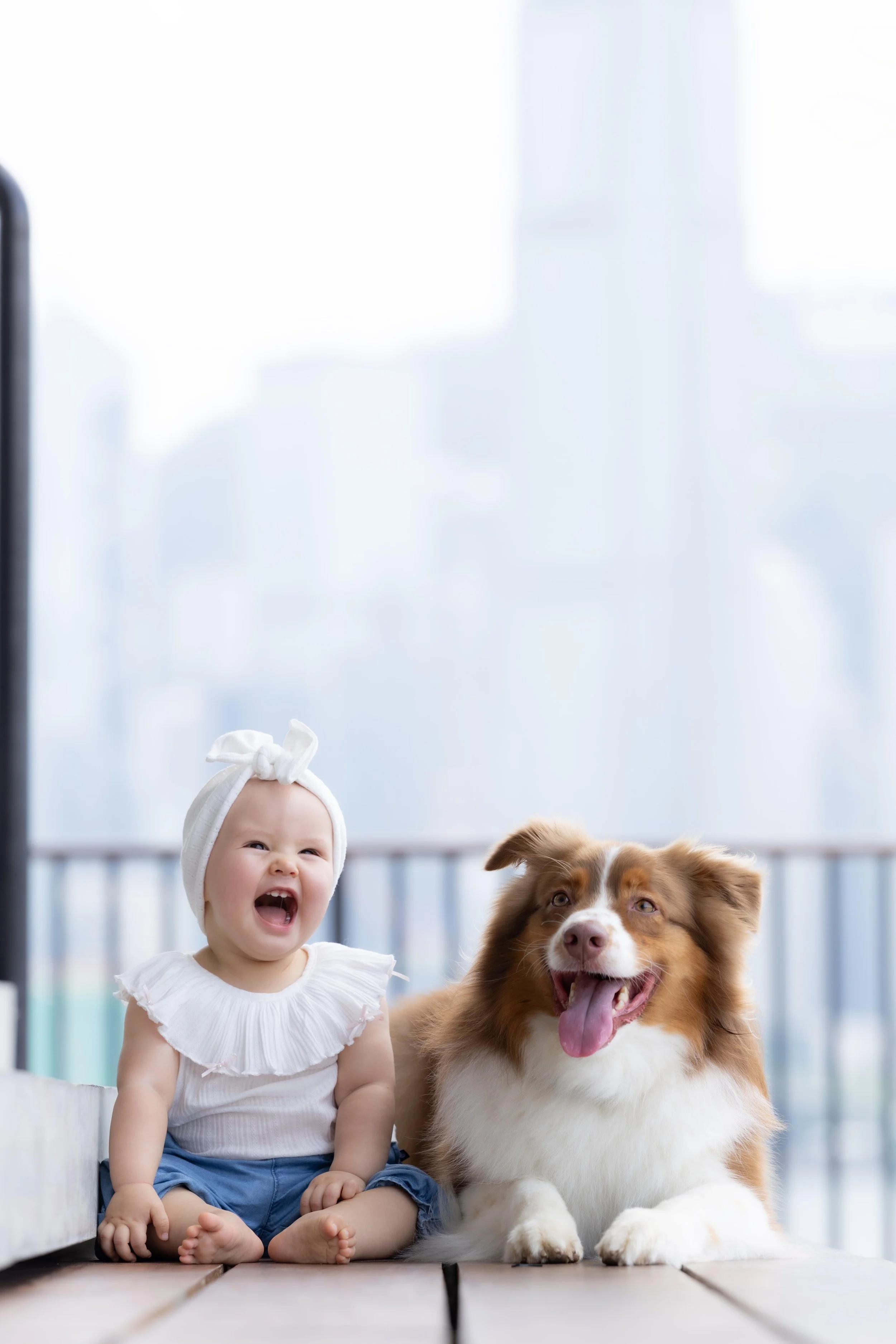 pets204.jpg