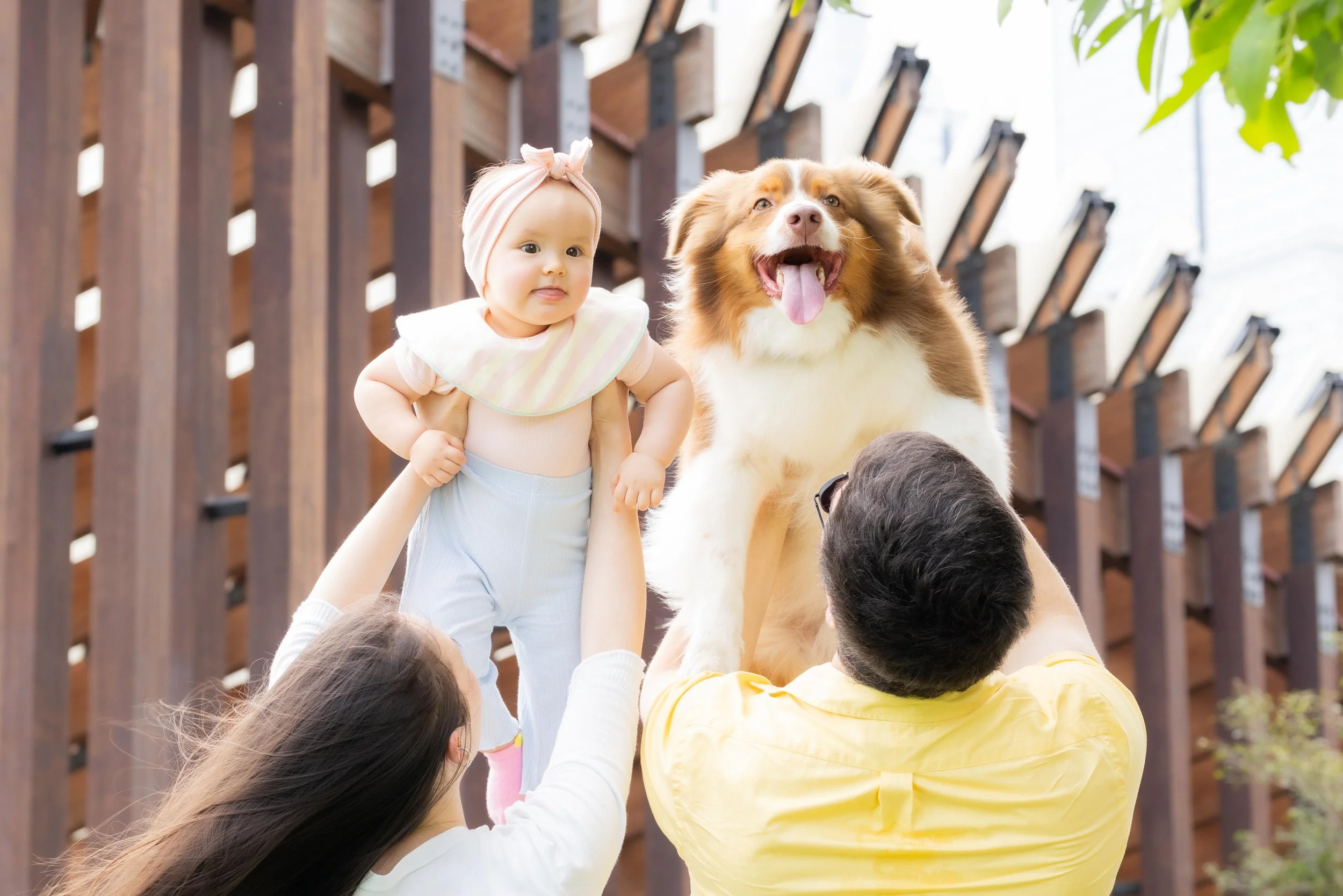 pets207.jpg