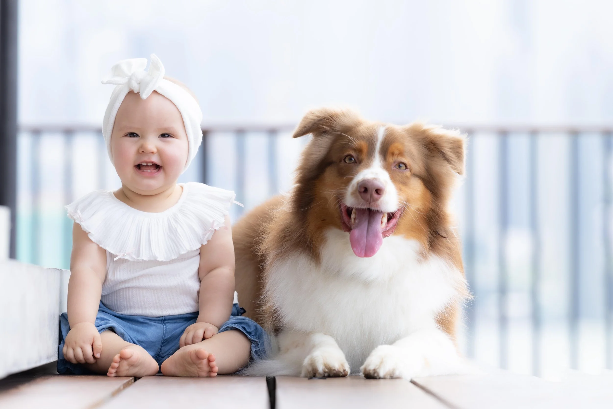 pets209.jpg