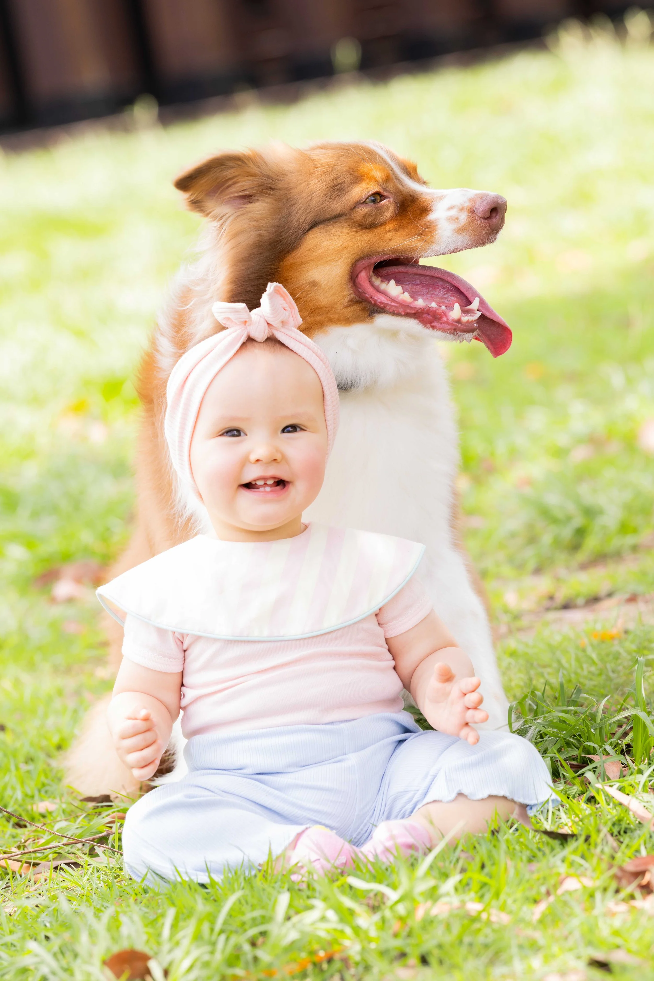 pets211.jpg