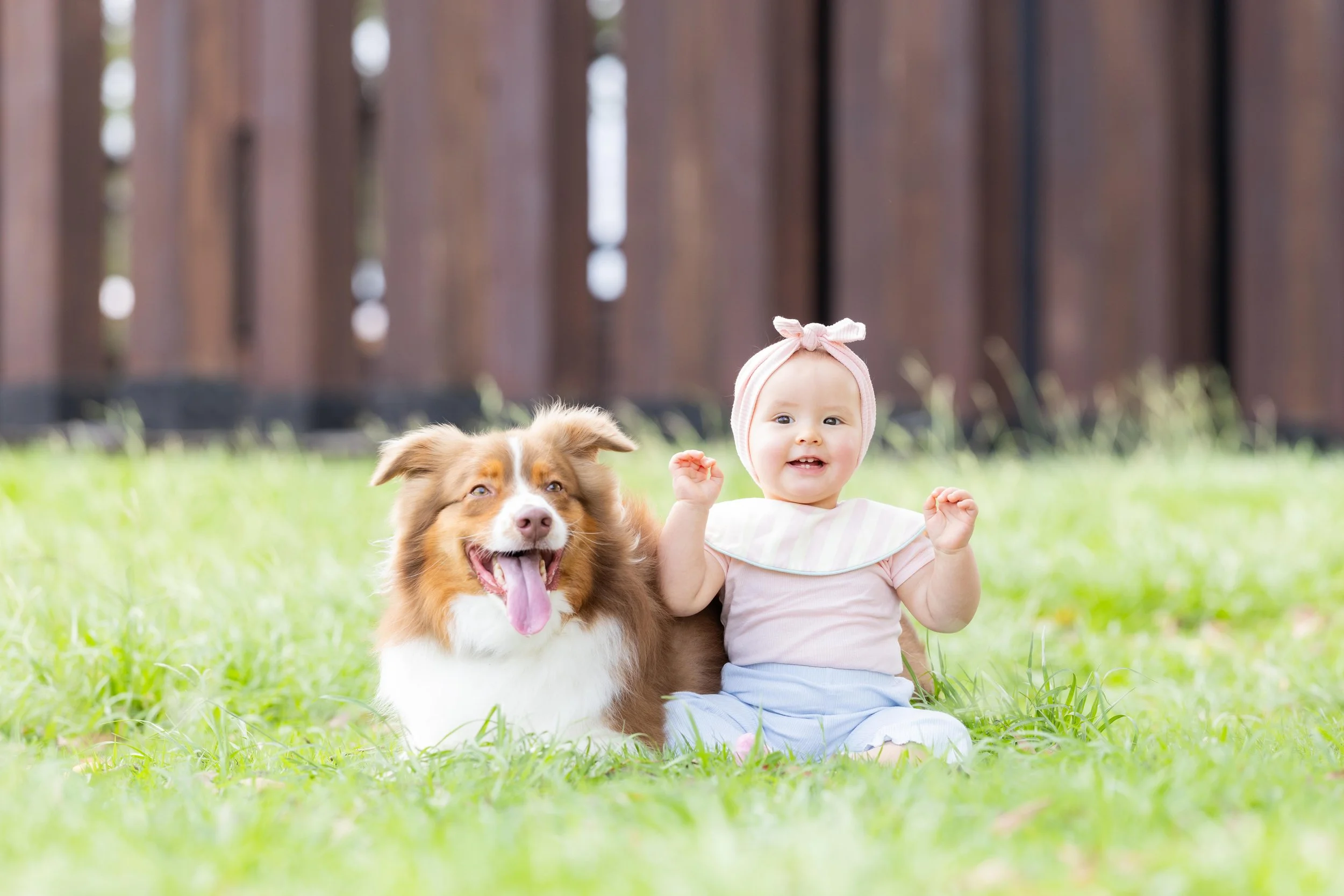 pets210.jpg