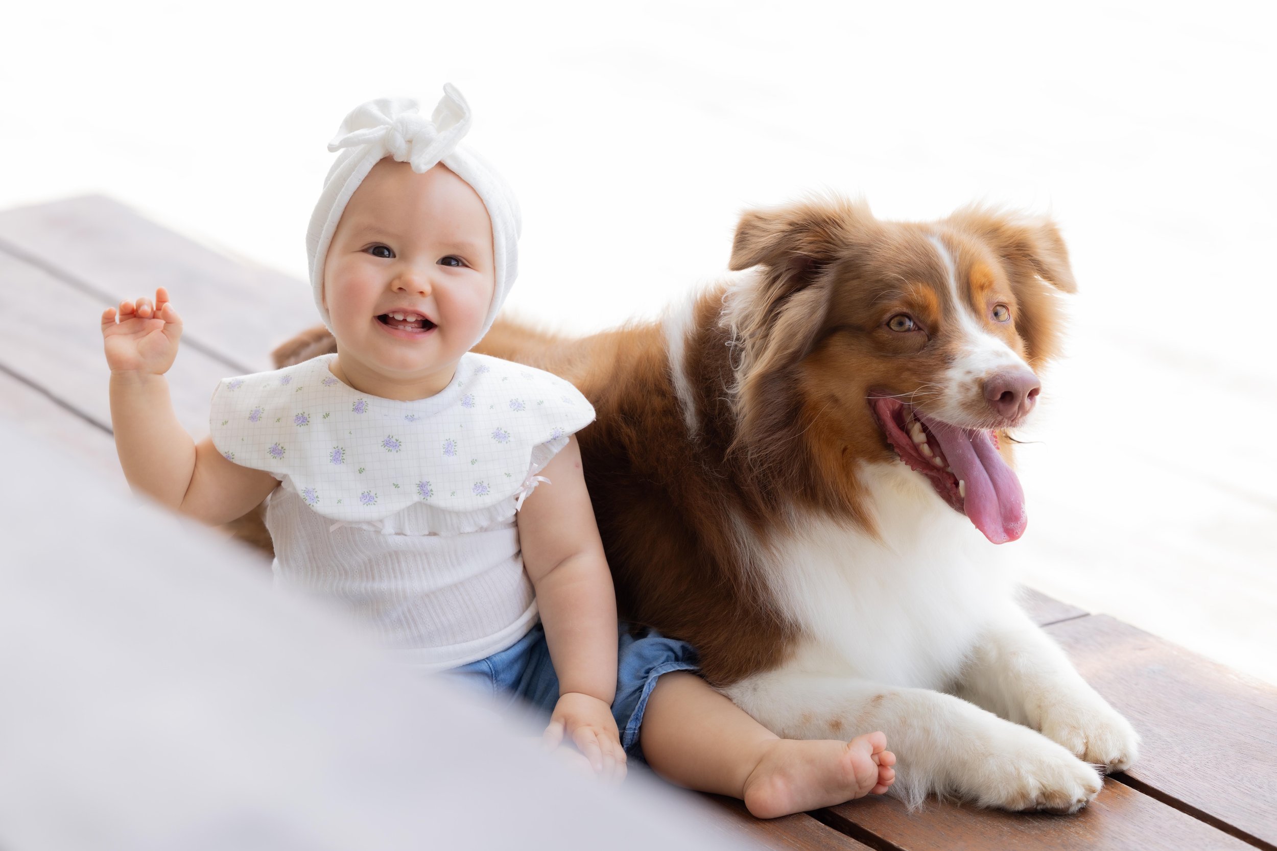 pets213.jpg