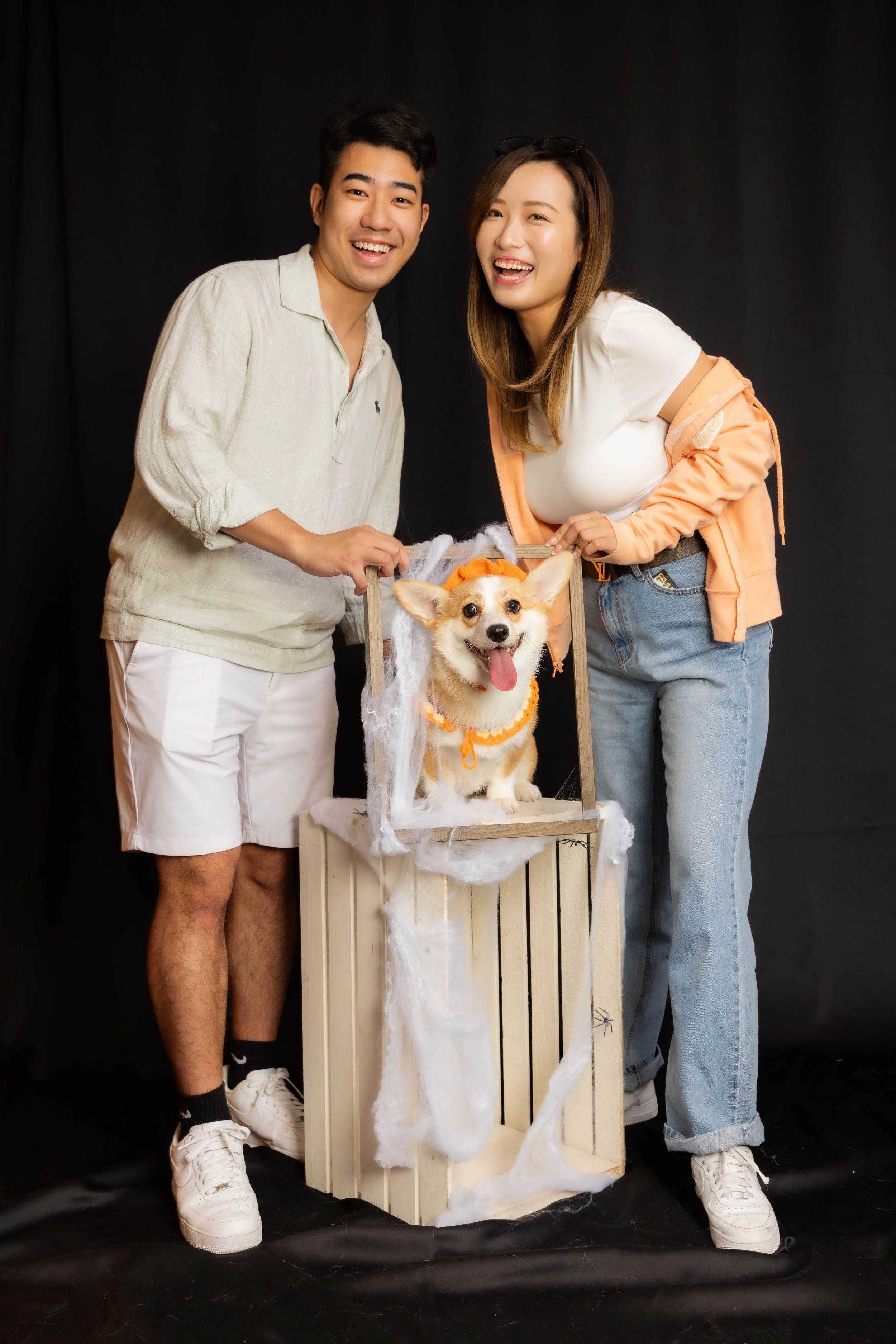 pets221.jpg