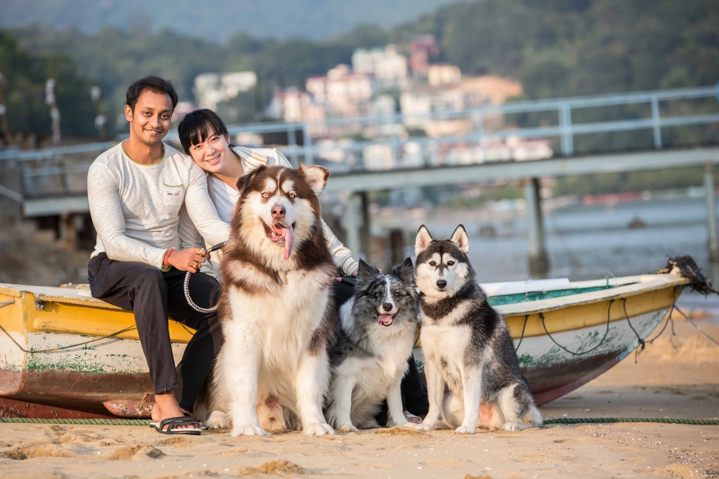 pets228.jpg
