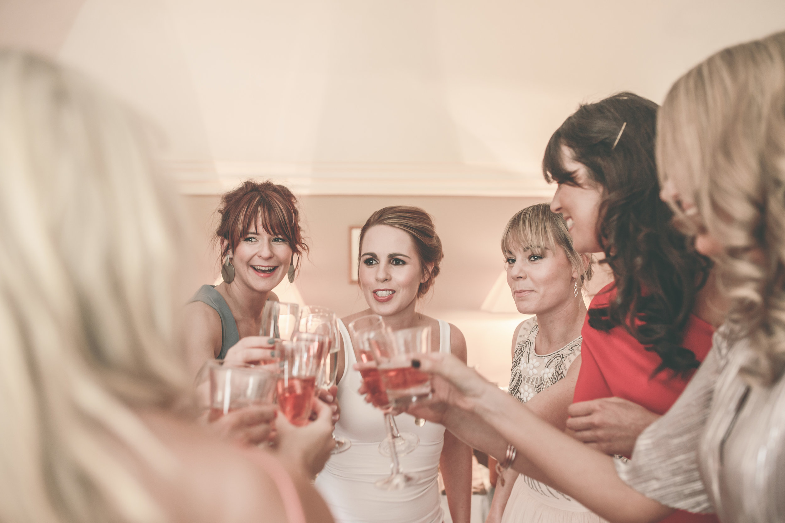 Bridal party, County Cork wedding photographer