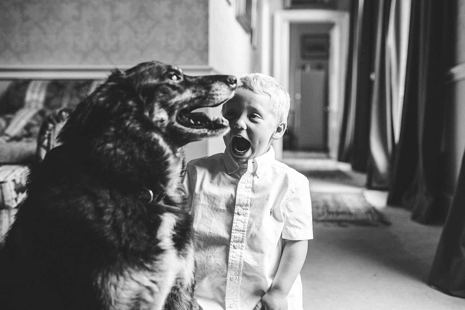 Festival wedding photographer cornwall shropshire