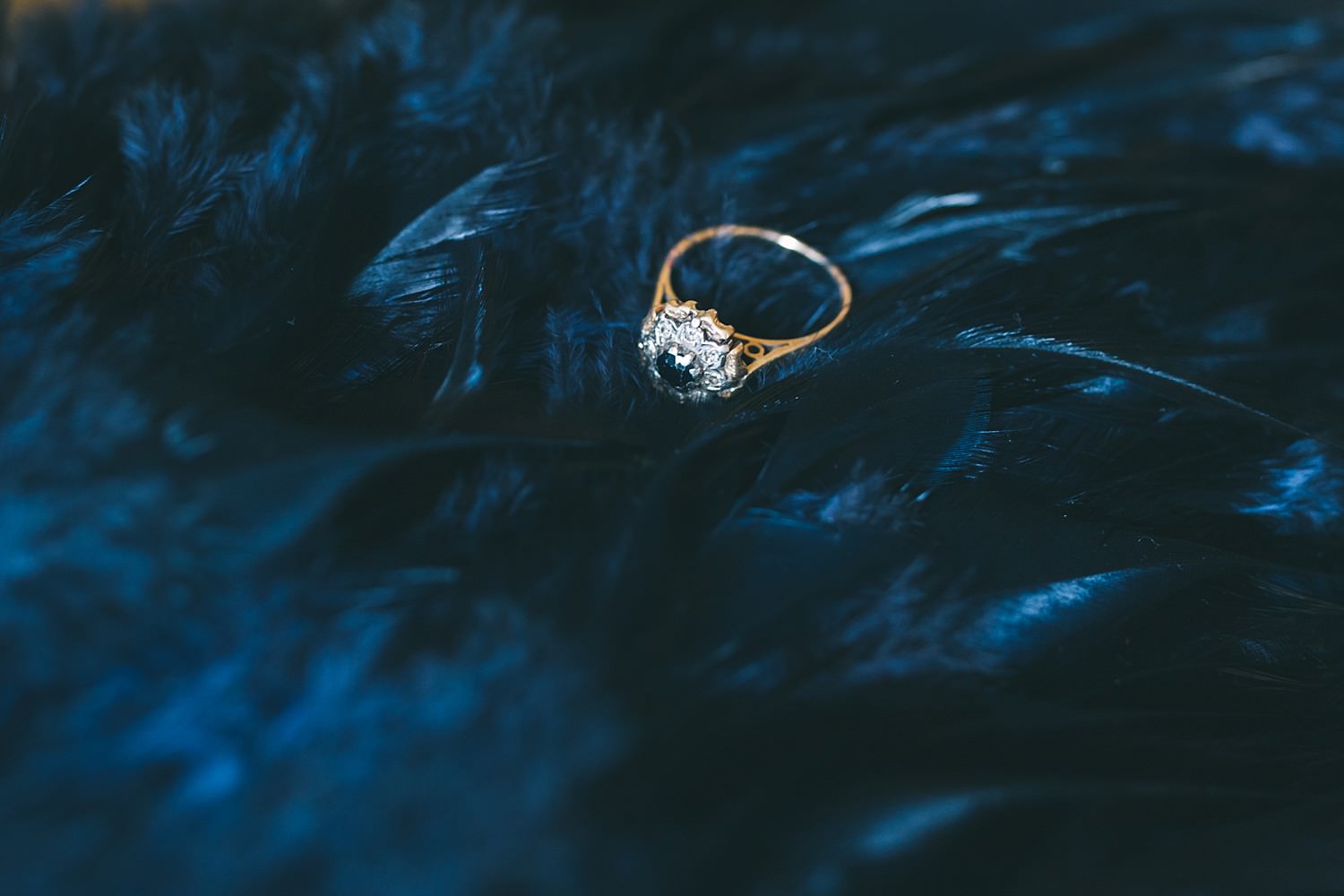Festival wedding photographer cornwall shropshire